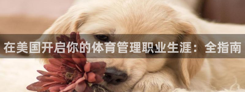 必一体育sport官