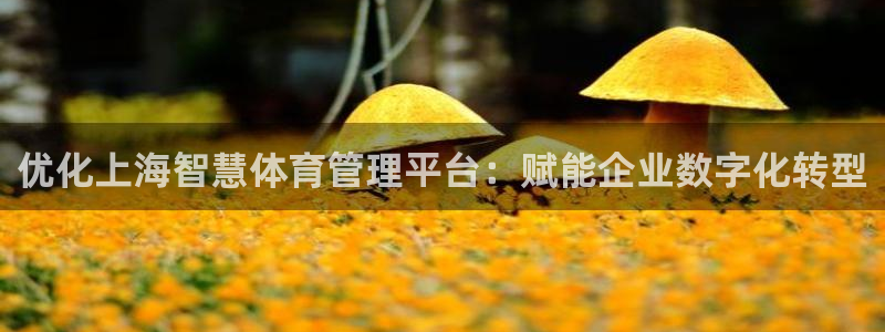 必一体育app下载最