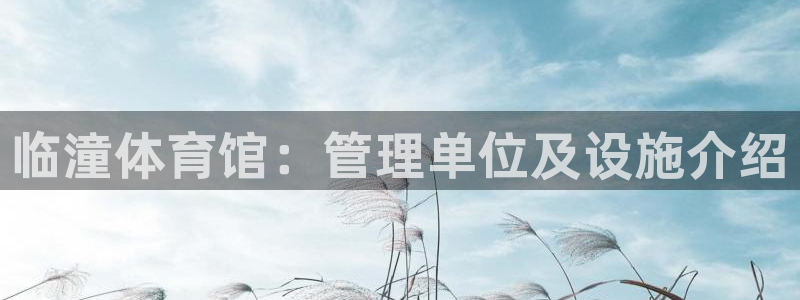 必一运动·(B-Sports)土豆：临潼体育馆：管理单位及设