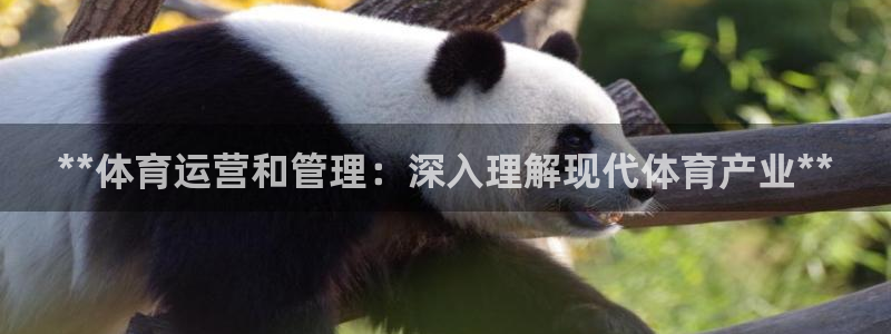 必一体育app下载：