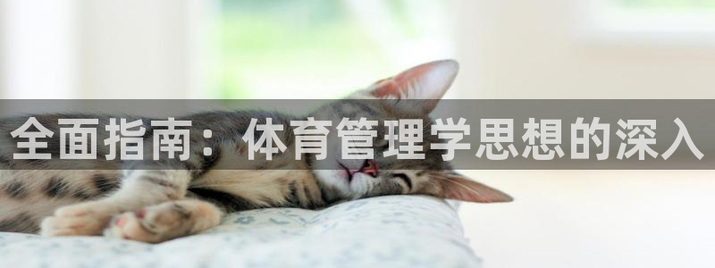 必一体育：全面指南：