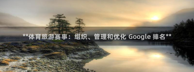 必一体育登录入口AP