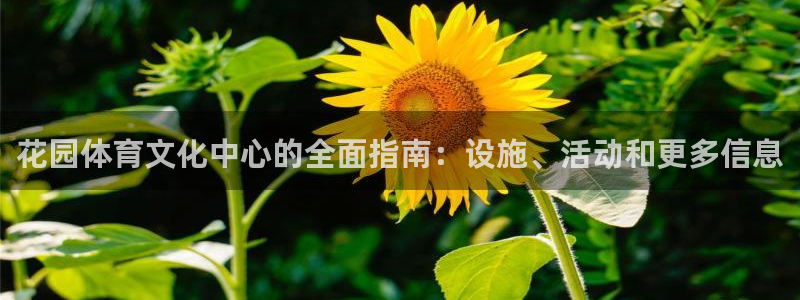 必一体育app官方网