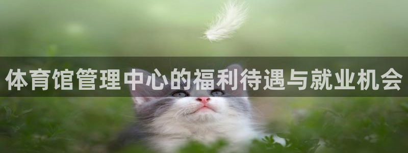 必一体育在线登录：体