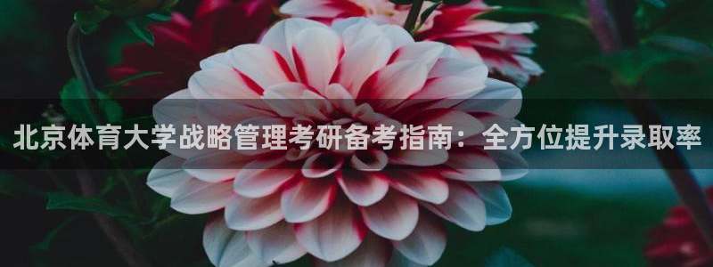 必一运动短信：北京体育大学战略管理考研备考指南：全方位提升录