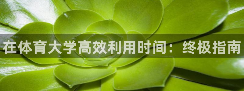 必一体育在线登录：在