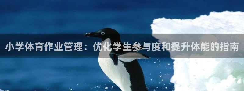 必一体育在线下载：小