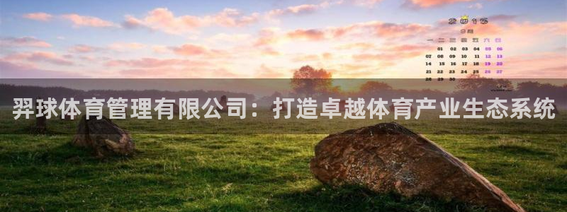 必一体育app官方下