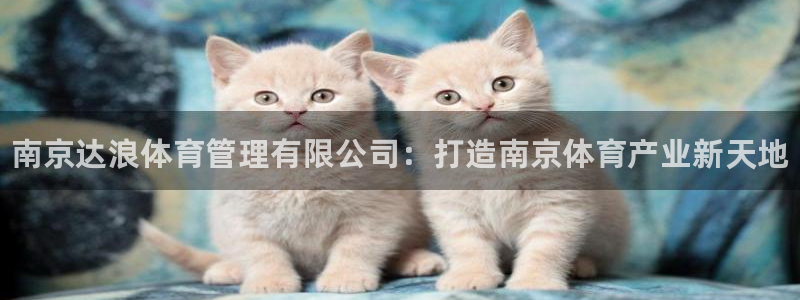 必一体育下载移动版：
