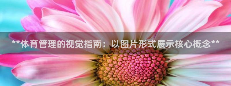 必一体育APP下载安装：**体育管理的视觉指南：以图片形式展