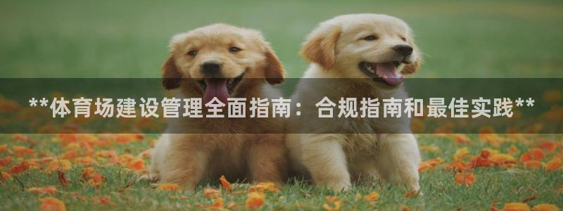 必一体育app下载最新版本苹果：**体育场建设管理全面指南：