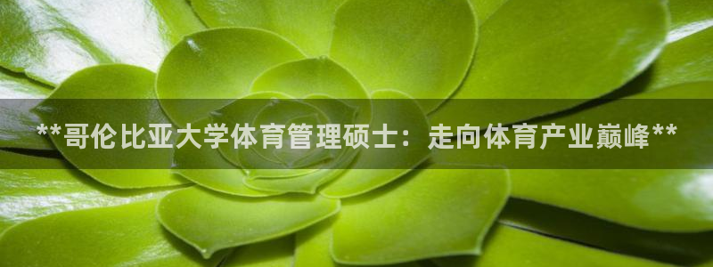 必一体育网页登录版官