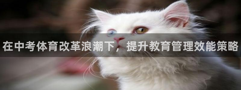 必一运动·(B-sports)：在中考体育改革浪潮下，提升教