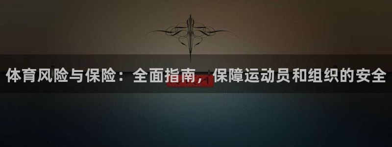 必一体育游戏特色：体育风险与保险：全面指南，保障运动员和组织