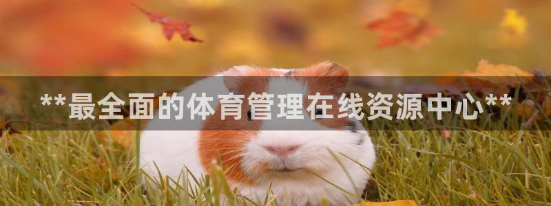 必一体育app下载安