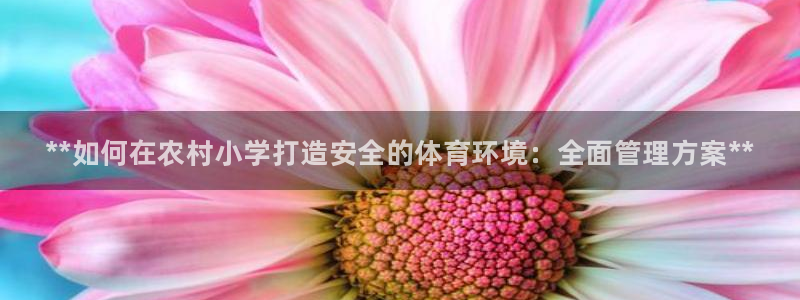 必一运动sport网页版：**如何在农村小学打造安全的体育环