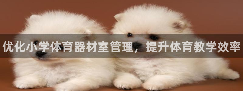 必一体育手机下载：优