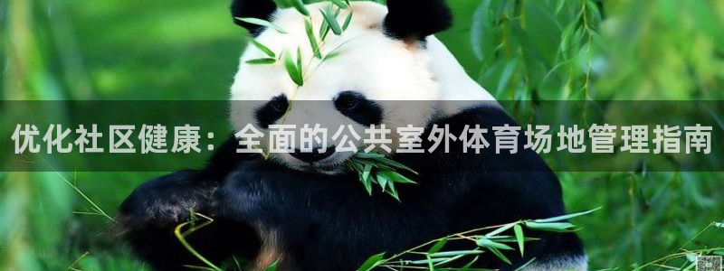 必一体育官方网站入口