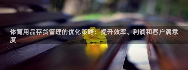 必一体育sport装