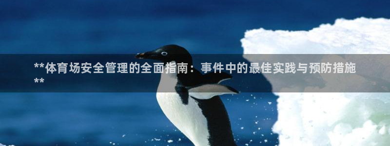 必一体育在线官网：**体育场安全管理的全面指南：事件中的最佳