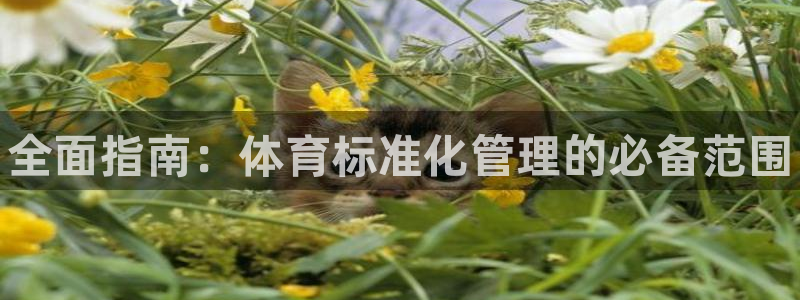 必一体育官方app下