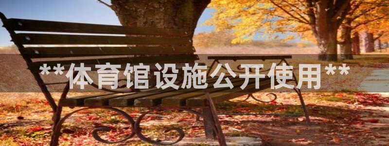 b体育必一下载：**