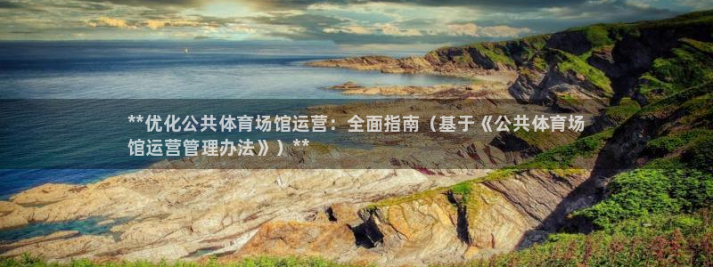 必一体育下载：**优化公共体育场馆运营：全面指南（基于《公共