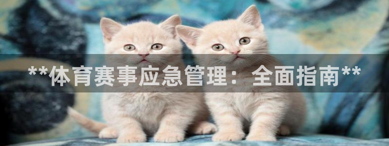 必一体育app官方网