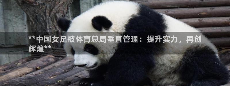 必一体育官方下载入口